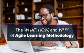 The What, How, and Why of Agile Learning Methodology